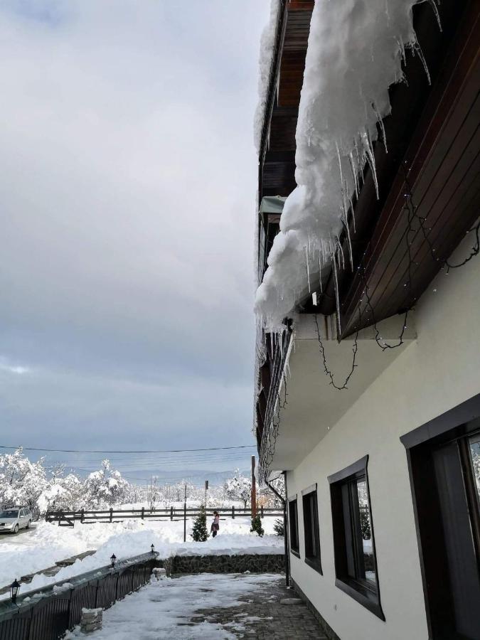 Complex Transalpina Hotel Aninisu din Vale Exterior photo